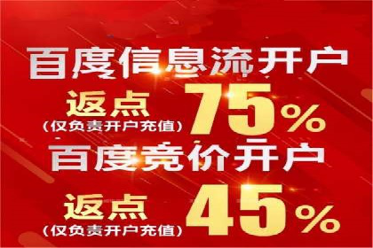 行业领先企业如何运用SEM运营推广